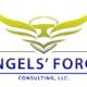 Angels Forge Consulting